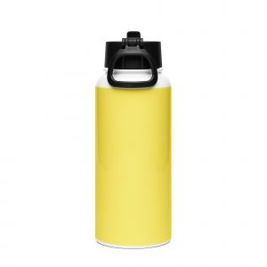 Stainless steel water bottle with a straw lid