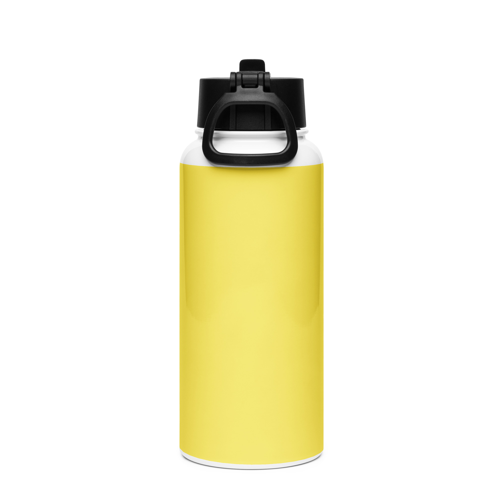 Stainless steel water bottle with a straw lid